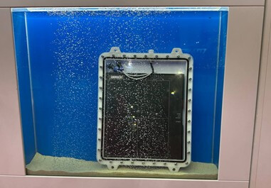 Покоряем северную столицу фото 2