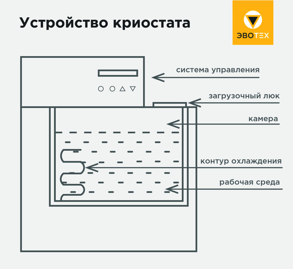 Криостат фото 2