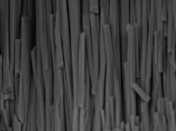 Цифровой детектор фото 5