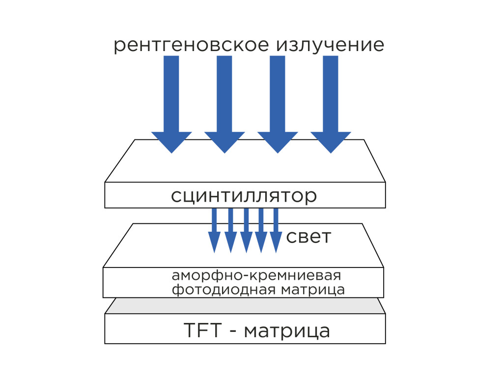 Цифровой детектор фото 4